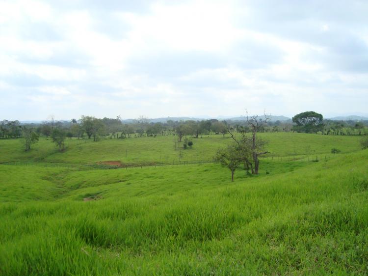 Foto Rancho en Venta en Pichucalco, Chiapas - 82 hectareas - $ 6.550.000 - RAV20817 - BienesOnLine