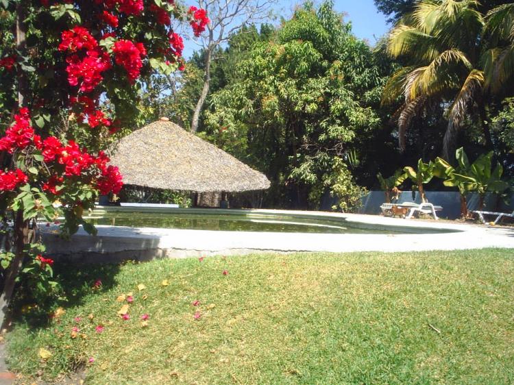 Foto Finca en Venta en Xoxocotla, Morelos - $ 6.000.000 - FIV5807 - BienesOnLine