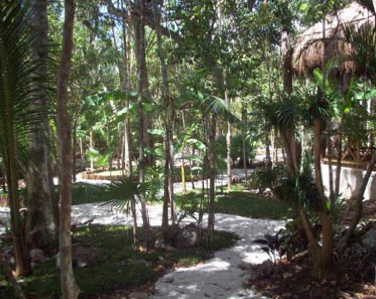 Foto Terreno en Venta en Puerto Morelos, Quintana Roo - TEV12236 - BienesOnLine