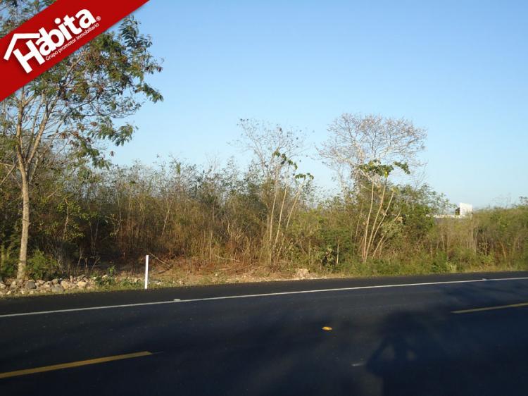 Foto Terreno en Venta en Valladolid, Yucatan - 12 hectareas - TEV37613 - BienesOnLine