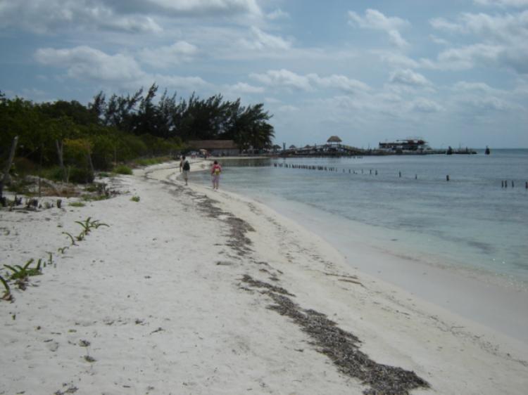 Foto Desarrollo en Venta en Isla Mujeres, Quintana Roo - U$D 6.300.000 - DSV4541 - BienesOnLine