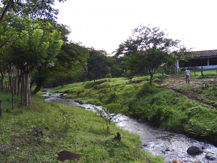 Foto Rancho en Venta en AGUA BENDITA, Xico, Veracruz - 10 hectareas - $ 5.500.000 - RAV14850 - BienesOnLine