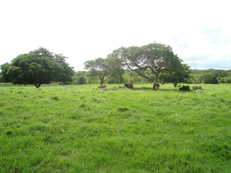 Foto Rancho en Venta en Veracruz, Veracruz - 61 hectareas - $ 6.200.000 - RAV18032 - BienesOnLine