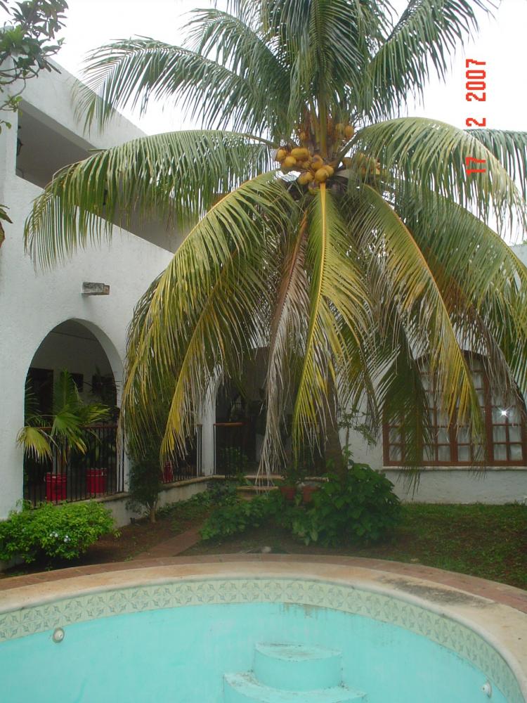 Foto Casa en Venta en Mrida, Yucatan - $ 1.500.000 - CAV20378 - BienesOnLine