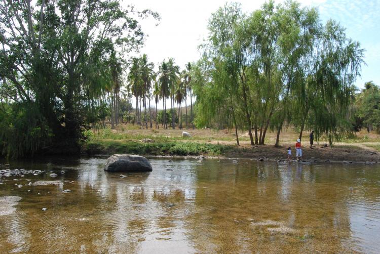 Foto Rancho en Venta en San Jeronimito (San Jernimo), Guerrero - 93 hectareas - RAV18962 - BienesOnLine