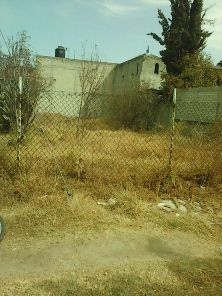 Home in Metric Way