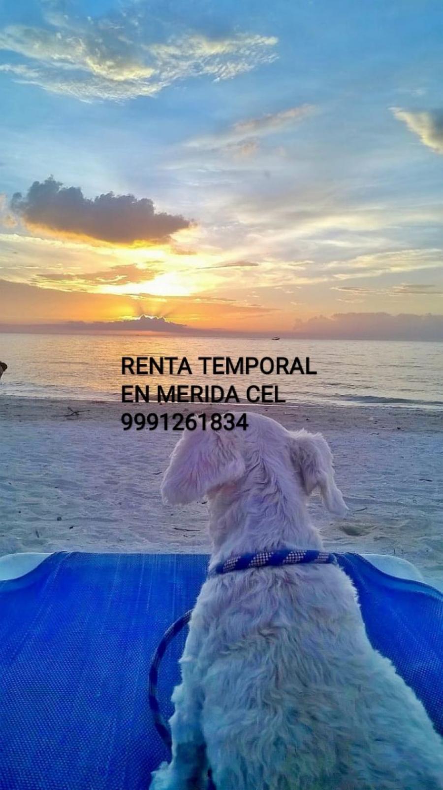 Foto Casa en Renta por Temporada en Merida, Mrida, Yucatan - CA213850 - BienesOnLine