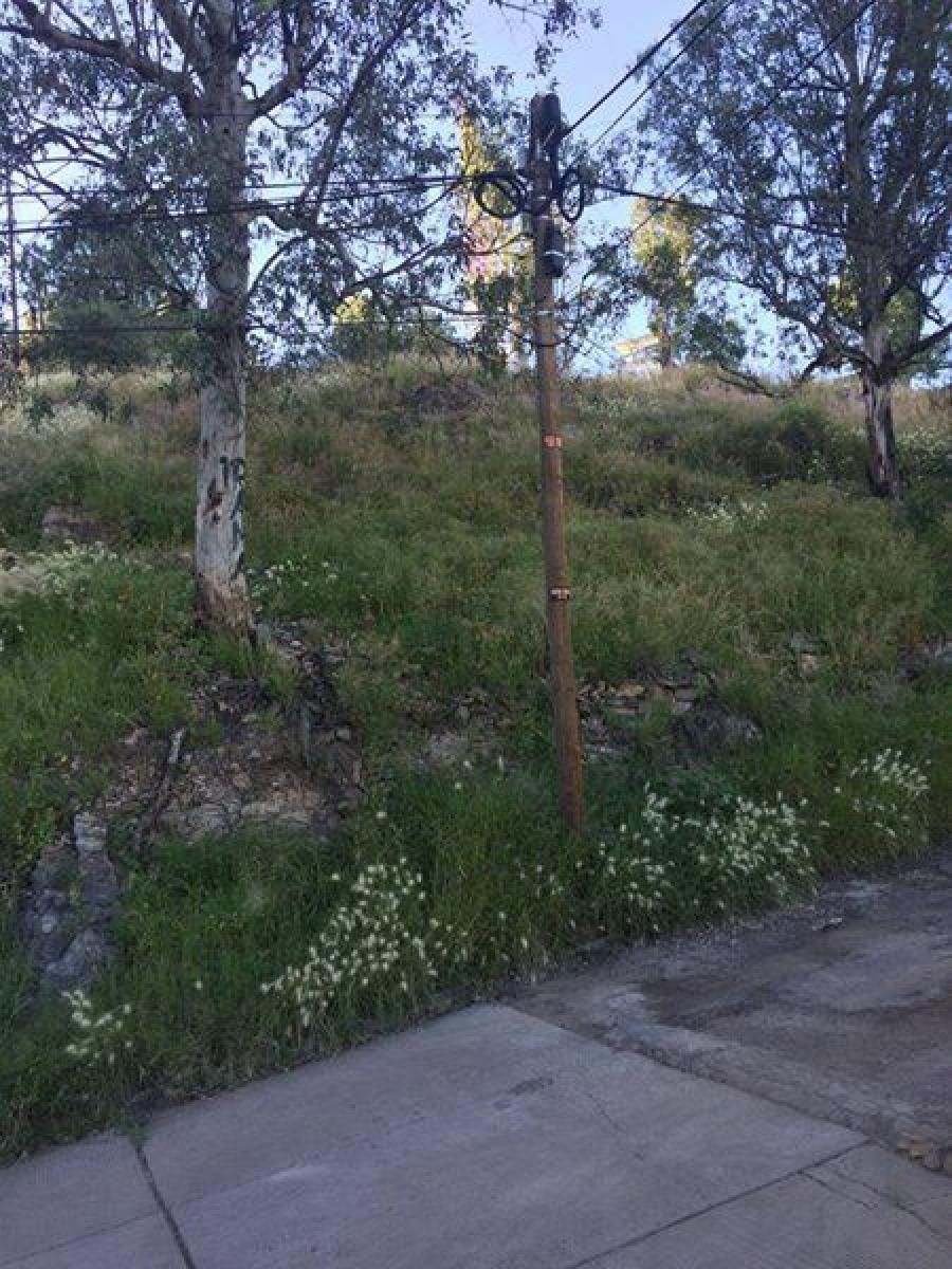 Foto Terreno en Renta en fracc. los remedios, Victoria de Durango, Durango - $ 800.000 - TER256787 - BienesOnLine