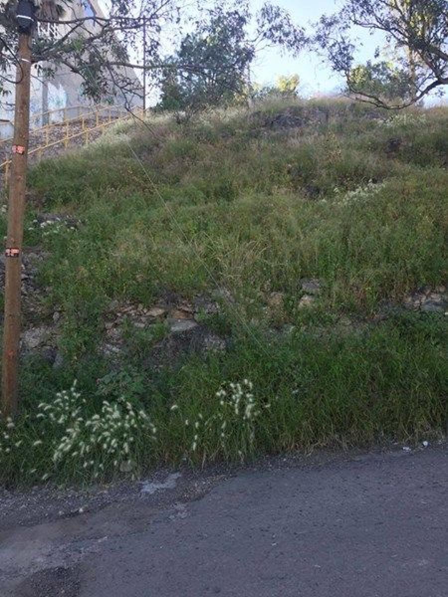 Foto Terreno en Venta en FRACC. LOS REMEDIOS, Victoria de Durango, Durango - $ 800.000 - TEV249968 - BienesOnLine