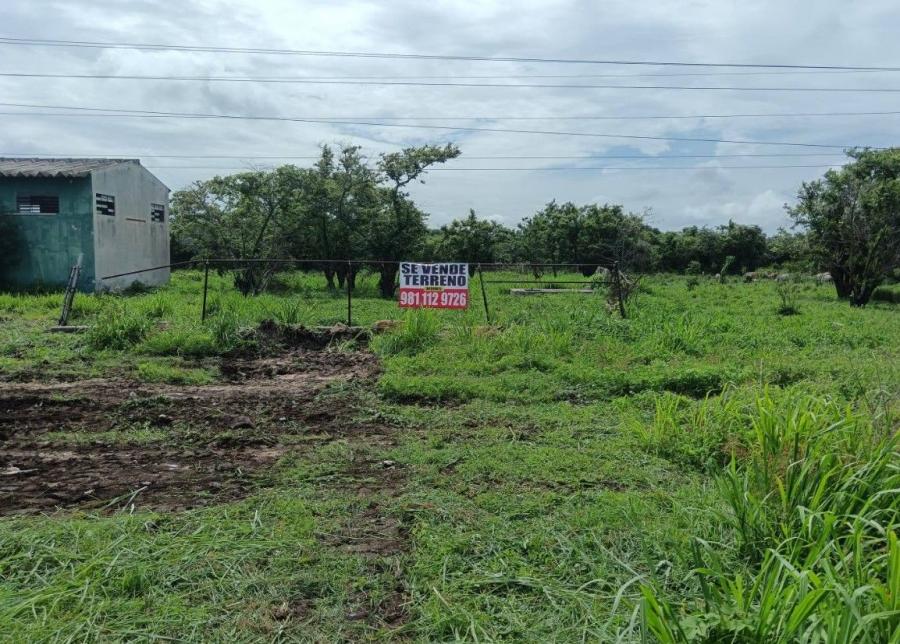 Foto Terreno en Venta en TIZIMIN, Seybaplaya, Campeche - $ 340.000 - TEV363937 - BienesOnLine