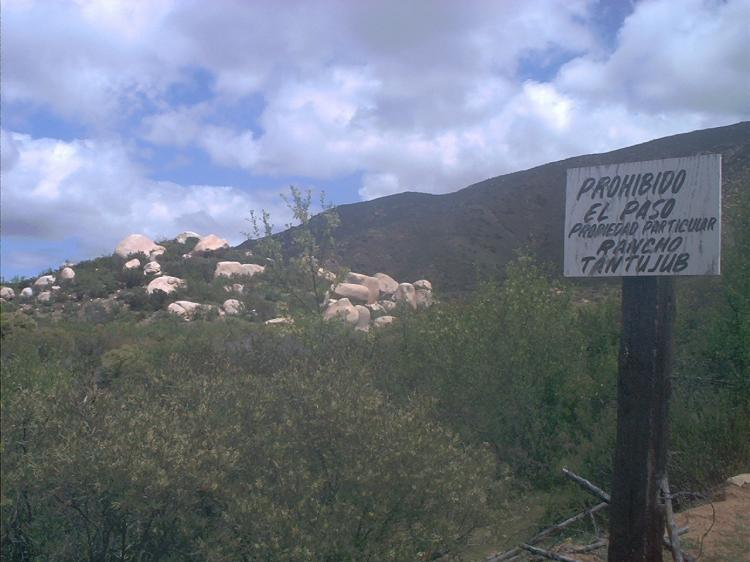 Foto Terreno en Venta en valle de Guadalupe, , Baja California - 4 hectareas - U$D 60.000 - TEV15962 - BienesOnLine