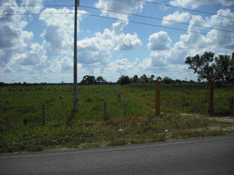 Foto Rancho en Venta en Tizimn, Yucatan - 50 hectareas - $ 1.000.000 - RAV15378 - BienesOnLine