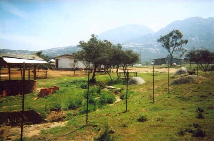 Foto Rancho en Venta en Colonia Nueva hindu Cerro Azul, Tecate, Baja California - 3 hectareas - U$D 400.000 - RAV43526 - BienesOnLine