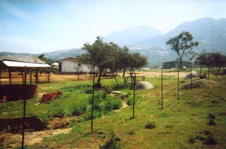 Home in Metric Way