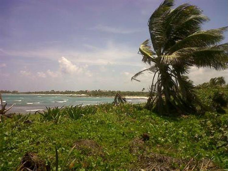 Foto Terreno en Venta en Akumal, Quintana Roo - U$D 520.000 - TEV81817 - BienesOnLine