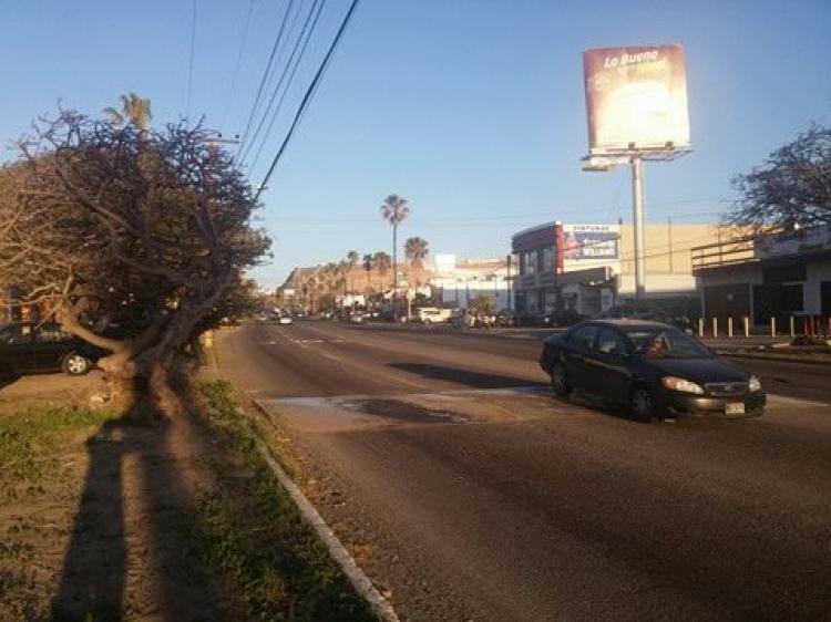 Foto Terreno en Renta por Temporada en Playas de Tijuana, Tijuana, Baja California - U$D 5.000 - TE157763 - BienesOnLine