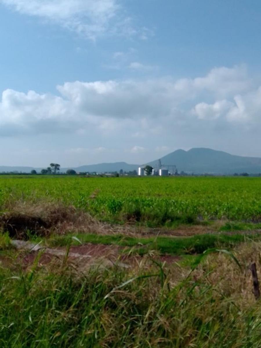 Foto Terreno en Venta en Atotonilquillo, Jalisco - 12 hectareas - $ 63.640.000 - TEV311434 - BienesOnLine