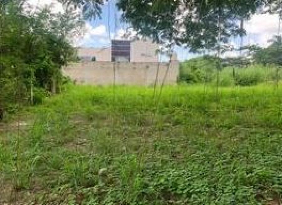 Foto Terreno en Venta en UMAN, Umn, Yucatan - $ 197.600 - TEV308679 - BienesOnLine