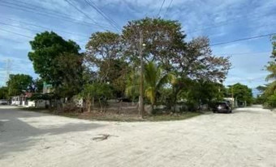 Foto Terreno en Venta en CAUCEL, Mrida, Yucatan - $ 307.800 - TEV308610 - BienesOnLine
