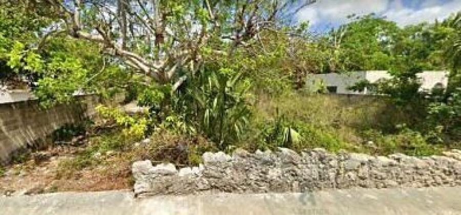 Foto Terreno en Venta en Tizimn, Yucatan - $ 168.000 - TEV306058 - BienesOnLine