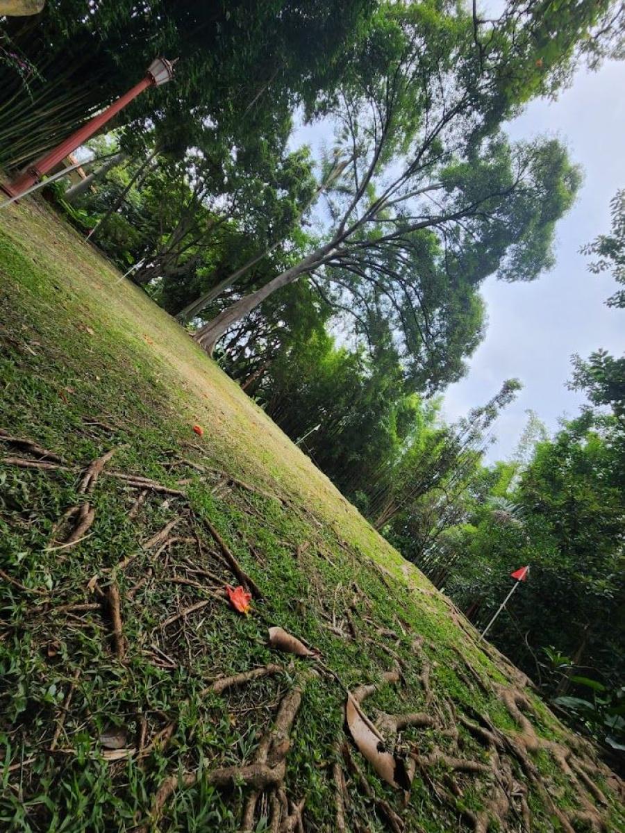 Foto Terreno en Venta en RANCHO TETELA, Cuernavaca, Morelos - $ 2.509.140 - TEV358322 - BienesOnLine