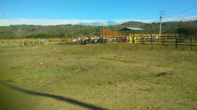 Foto Rancho en Venta en cerca de la sima de las cotorras, Chiapas - 1000 hectareas - $ 2.147.483.647 - RAV215104 - BienesOnLine