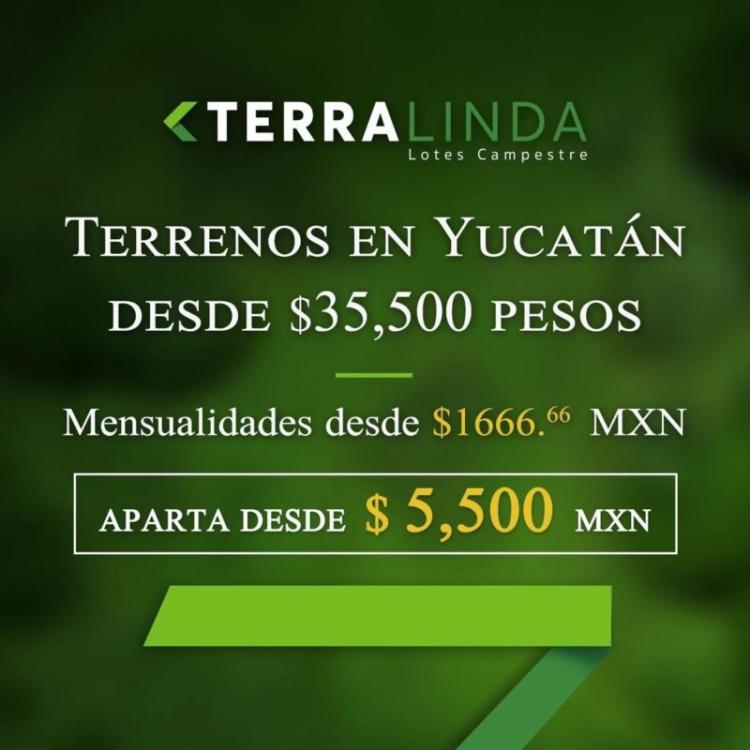 Foto Terreno en Venta en Mococh, Yucatan - $ 35.500 - TEV241351 - BienesOnLine