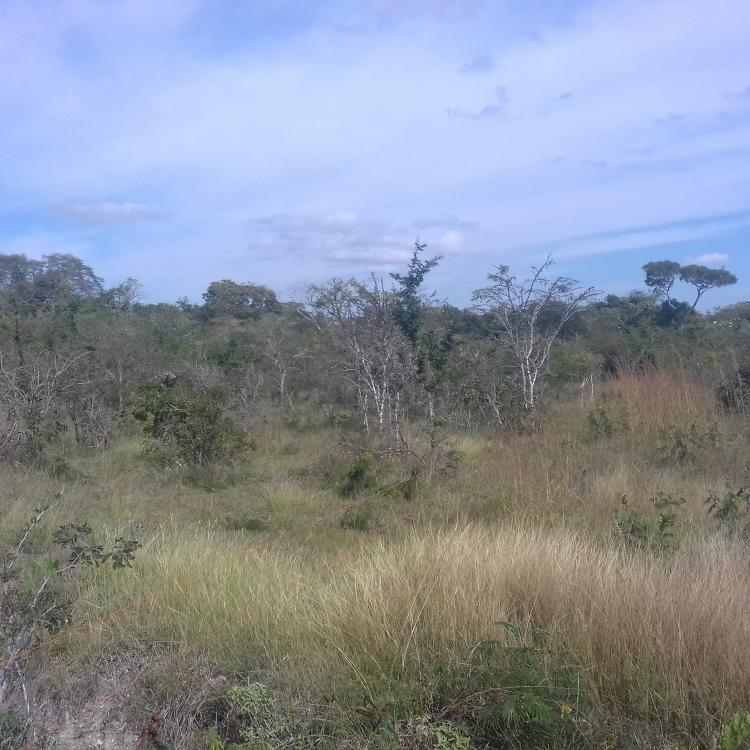 Foto Rancho en Venta en Vicente Guerrero, Ocozocoautla de Espinosa, Chiapas - $ 1.500.000 - RAV184633 - BienesOnLine