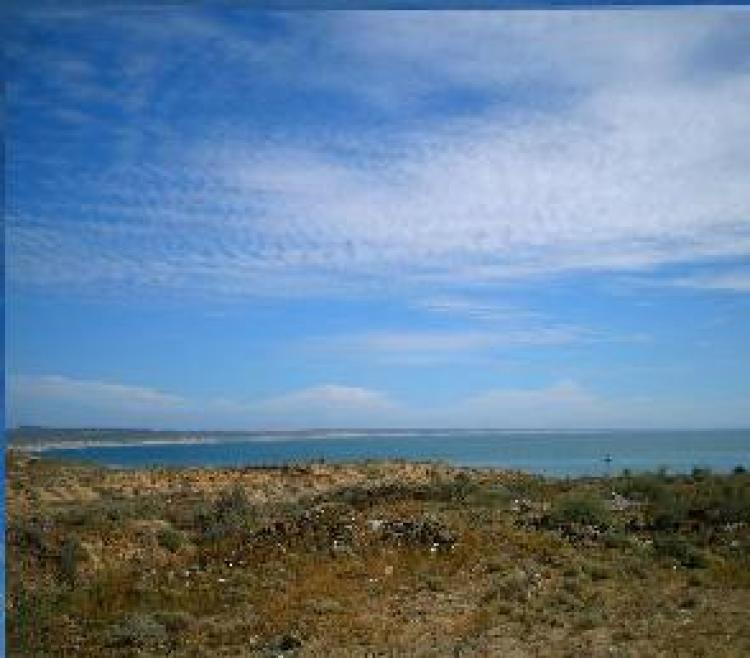 Foto Terreno en Venta en SAN JAUNICO, San Juanico, Baja California Sur - U$D 98.000 - TEV22293 - BienesOnLine