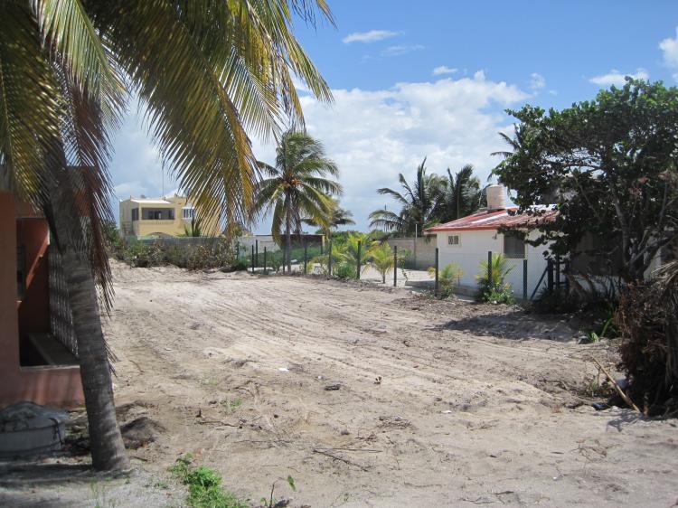 Foto Terreno en Venta en Chelem, Yucatan - $ 350.000 - TEV24682 - BienesOnLine