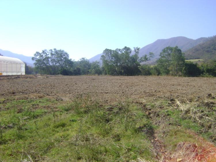 Foto Rancho en Venta en Tamazula, Tamazula de Gordiano, Jalisco - 39 hectareas - $ 13.650.000 - RAV37116 - BienesOnLine