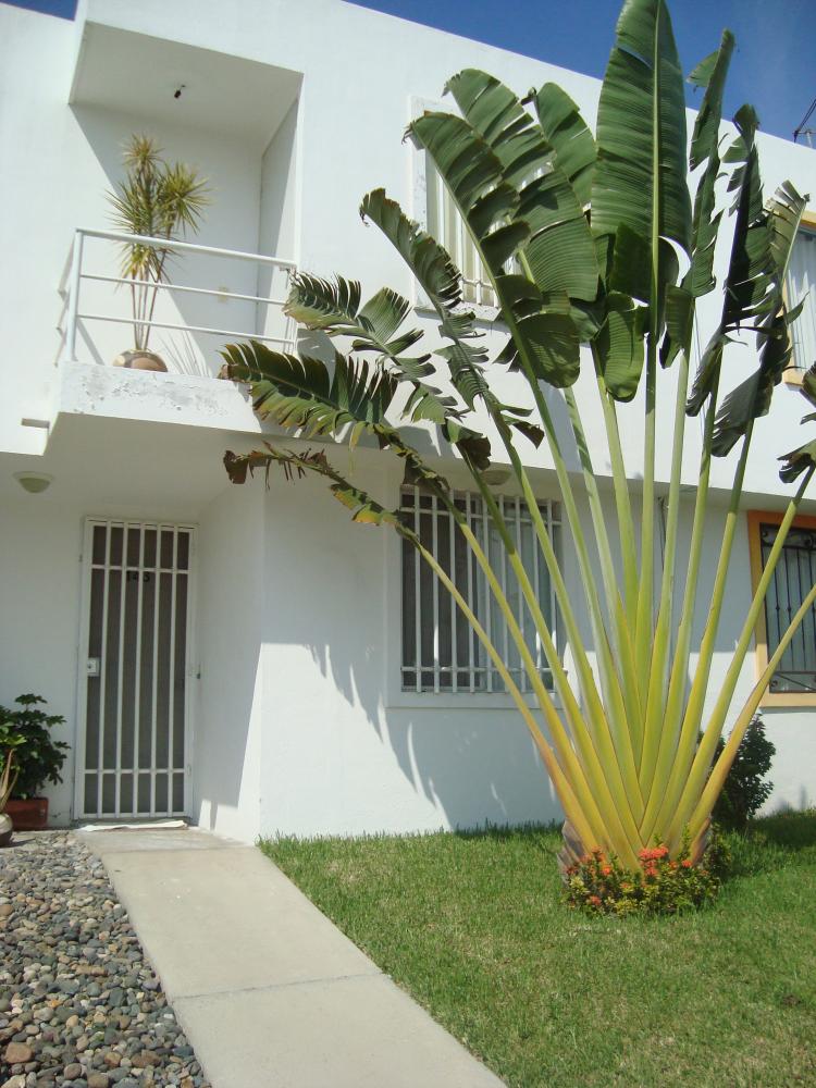 Foto Casa en Venta en TERRALTA, Buceras, Nayarit - U$D 120.000 - CAV14735 - BienesOnLine