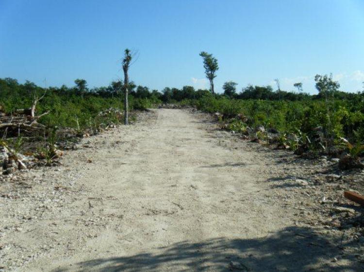 Foto Terreno en Venta en La Orquidea, Tulum, Quintana Roo - $ 95.000 - TEV16587 - BienesOnLine