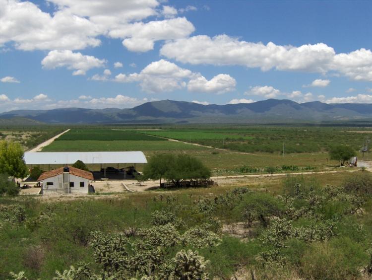 Foto Rancho en Venta en Ciudad del Maz, San Luis Potosi - 300 hectareas - U$D 1.500.000 - RAV30345 - BienesOnLine