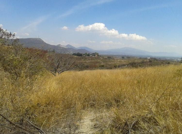 Foto Terreno en Venta en Centro, Chapala, Jalisco - $ 3.000.000 - TEV212167 - BienesOnLine