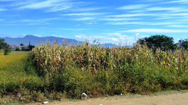 Foto Terreno en Venta en Villas Laureles, Santa Cruz Xoxocotln, Oaxaca - $ 7.857.187 - TEV186409 - BienesOnLine