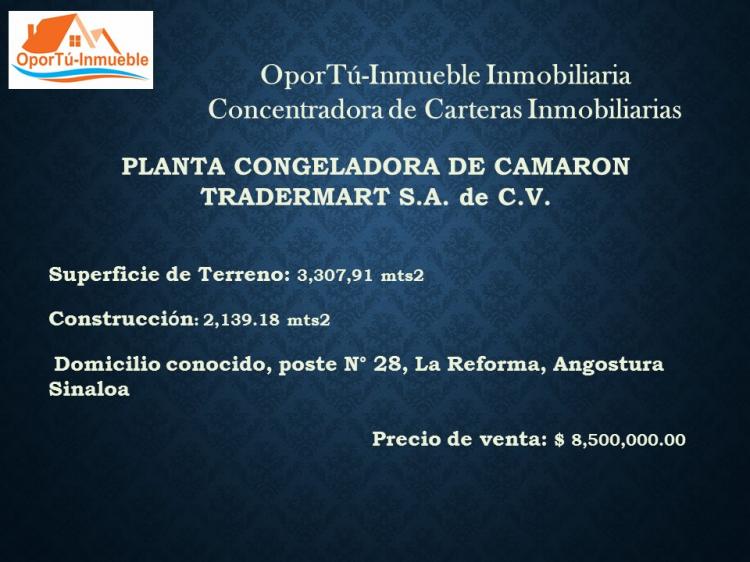 Foto Terreno en Venta en Culiacn Rosales, Sinaloa - $ 8.500.000 - TEV214568 - BienesOnLine