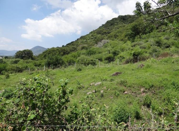 Foto Terreno en Venta en El Tempizque, Jocotepec, Jalisco - $ 460.000 - TEV212164 - BienesOnLine