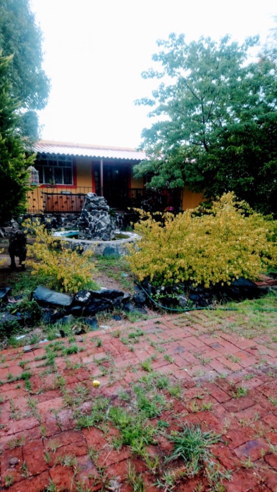 Foto Granja en Venta en Pueblo nuevo, Irapuato, Guanajuato - $ 3.400.000 - GRV328059 - BienesOnLine