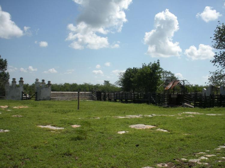 Foto Rancho en Venta en , Quintana Roo - 32 hectareas - U$D 500.000 - RAV199737 - BienesOnLine