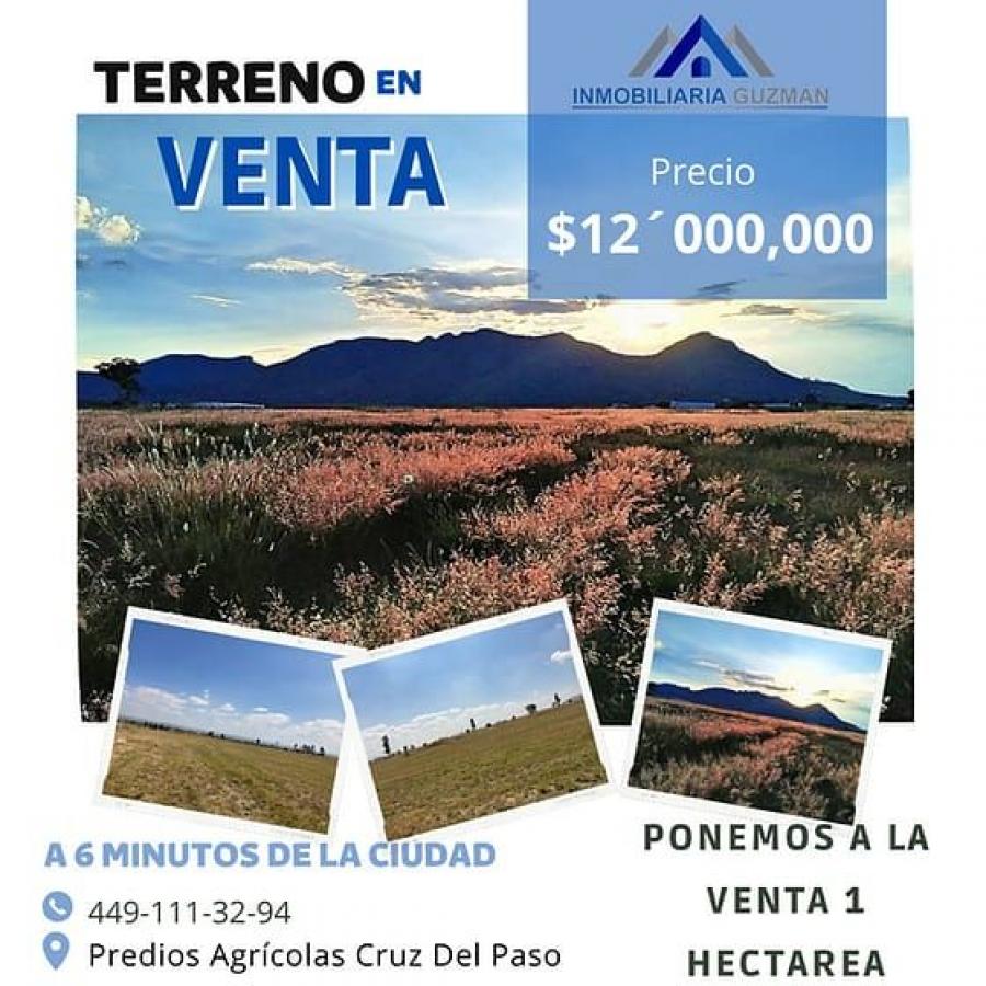 Foto Terreno en Venta en Cruz del paso, Aguascalientes, Aguascalientes - $ 12.000.000 - TEV342110 - BienesOnLine