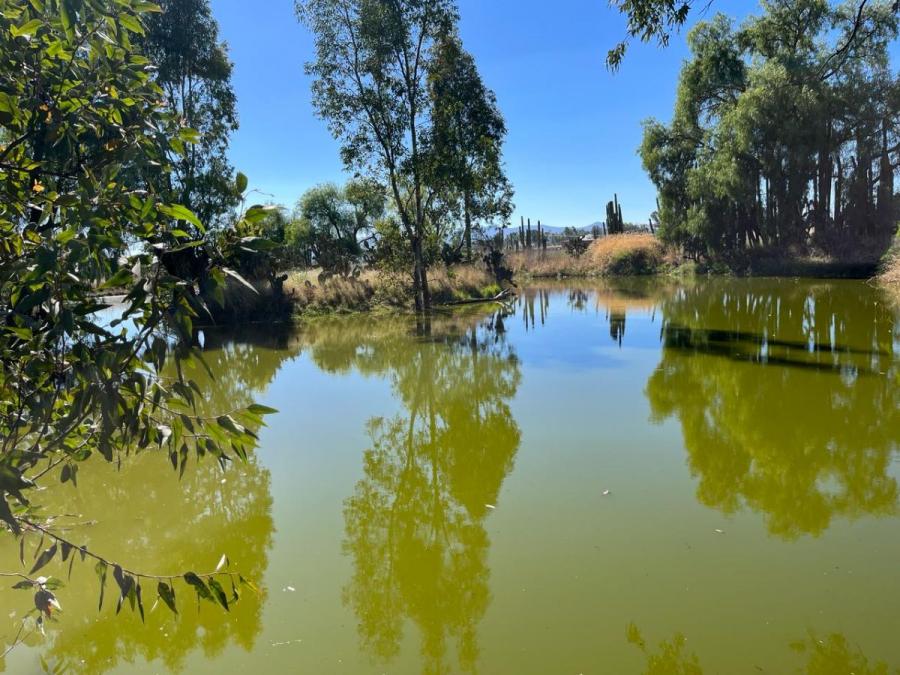 Foto Terreno en Venta en rancho don chepe, san miguel de allende, guanajuato, Guanajuato - 1 hectareas - $ 10.648.950 - TEV352369 - BienesOnLine