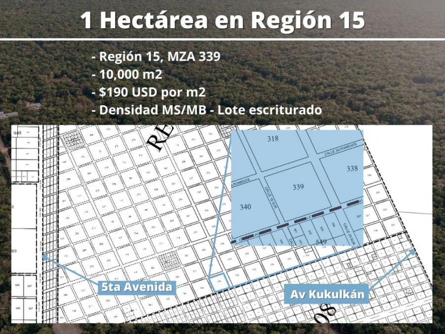 Foto Terreno en Venta en Region 15, Tulum, Quintana Roo - 1 hectareas - U$D 1.900.000 - TEV317188 - BienesOnLine