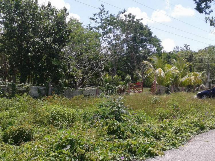 Foto Terreno en Venta en Tulum, Quintana Roo - $ 4.500.000 - TEV165319 - BienesOnLine