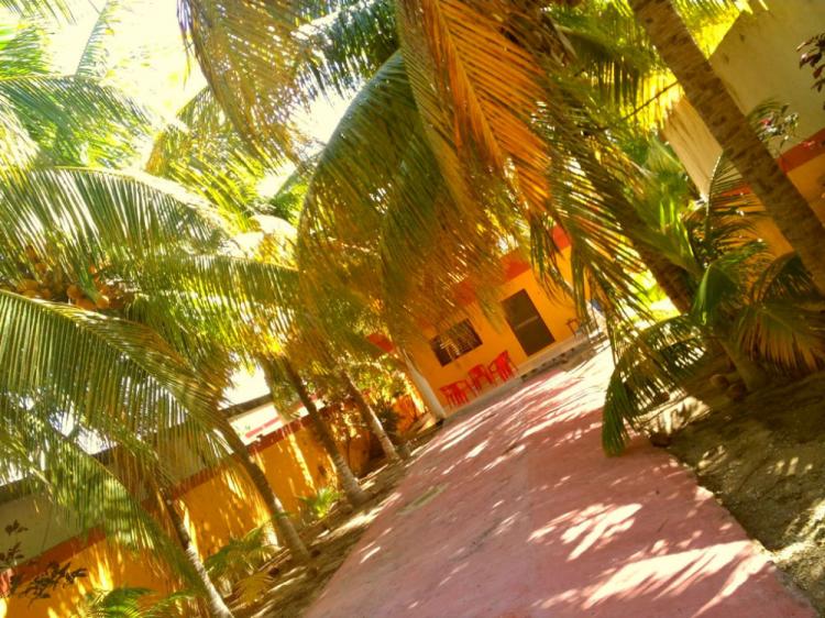 Foto Casa en Renta en Chelem, Yucatan - U$D 500 - CAR182367 - BienesOnLine