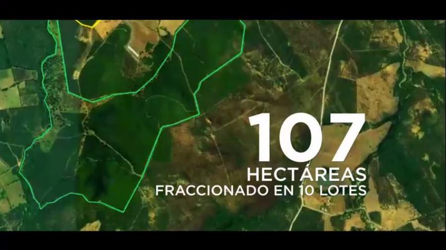 Foto Terreno en Venta en Montemorelos, Nuevo Leon - 107 hectareas - $ 32.100.000 - TEV242952 - BienesOnLine