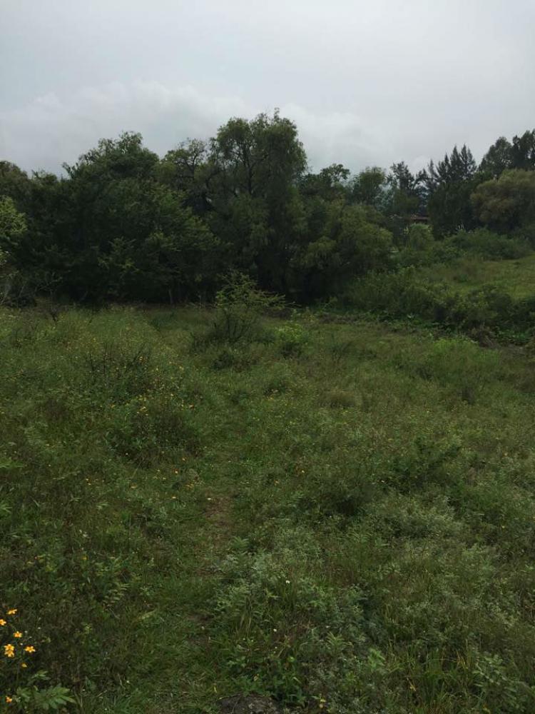 Foto Terreno en Venta en JALMOLONGA, Malinalco, Mexico - $ 1.963.818 - TEV146028 - BienesOnLine