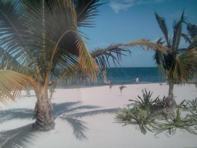 Foto Terreno en Venta en Playa del carmen, Playa del Carmen, Quintana Roo - 26 hectareas - U$D 24.000.000 - TEV120973 - BienesOnLine