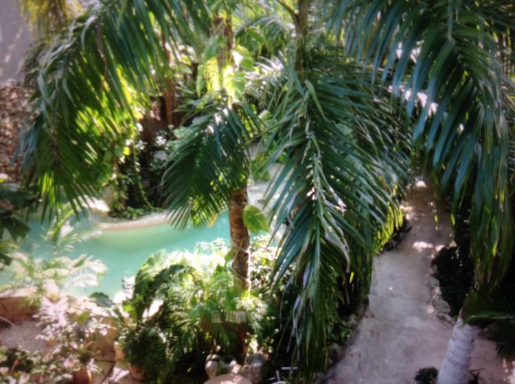 Foto Hotel en Venta en Centro, Playa del Carmen, Quintana Roo - U$D 1.950.000 - HOV106412 - BienesOnLine