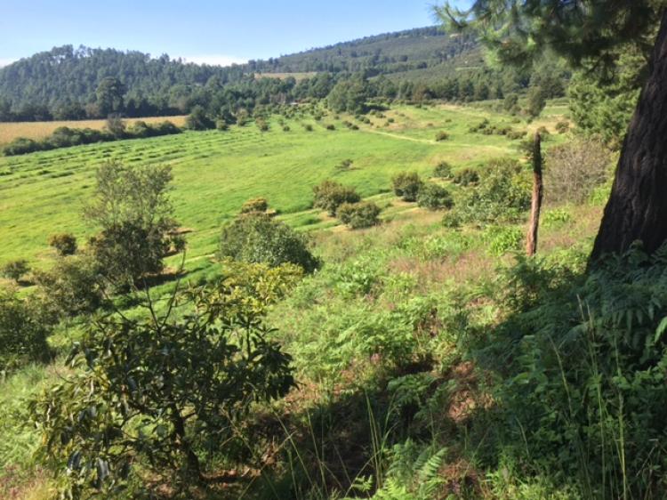 Foto Rancho en Venta en Ptzcuaro, Michoacan de Ocampo - $ 3.700.000 - RAV186368 - BienesOnLine